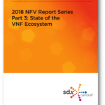 2018-NFV-Report-Series-Part-3-State-of-the-VNF-Ecosystem