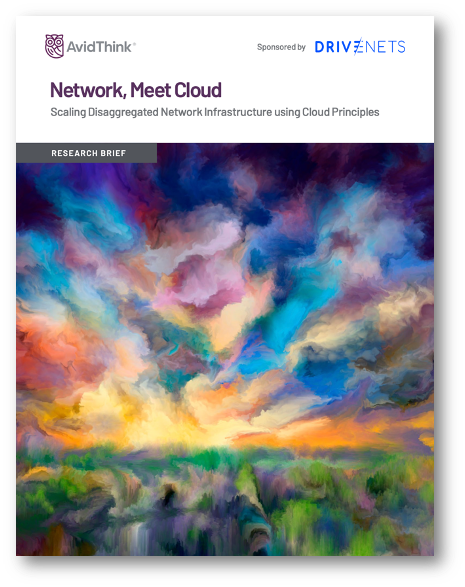 Network-Meet-Cloud-AvidThink-Research-Brief-DriveNets-Cover-Image