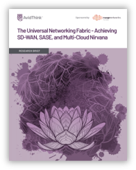The Universal Networking Fabric - Achieving SD-WAN, SASE, and Multi-Cloud Nirvana